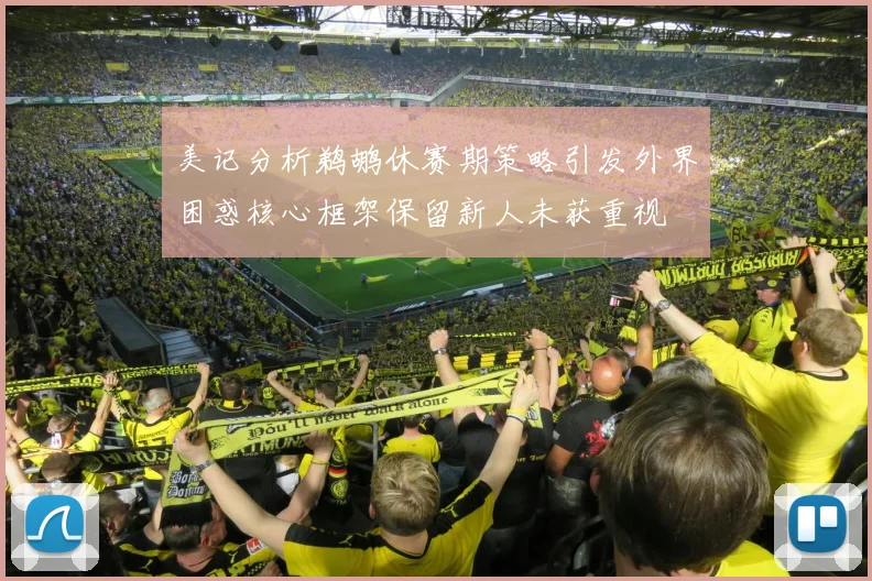 美记分析鹈鹕休赛期策略引发外界困惑核心框架保留新人未获重视